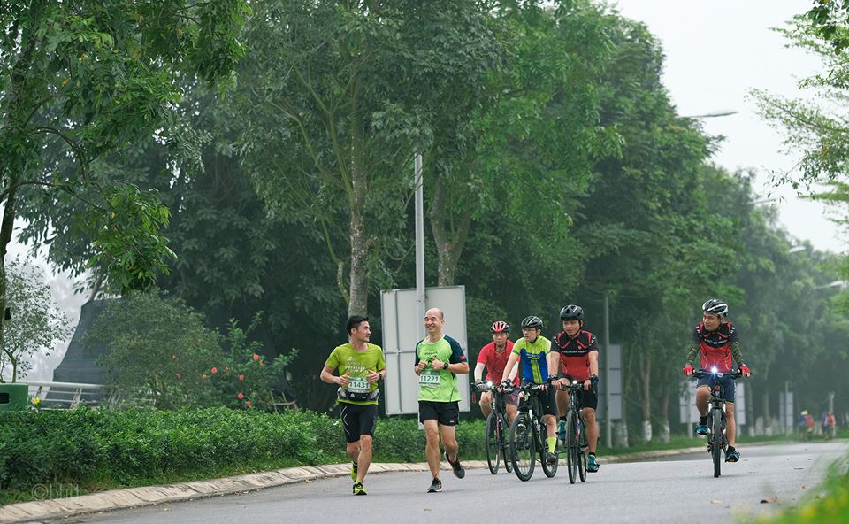 Mục kích đường chạy marathon Hoa vàng trên cỏ xanh Ecopark